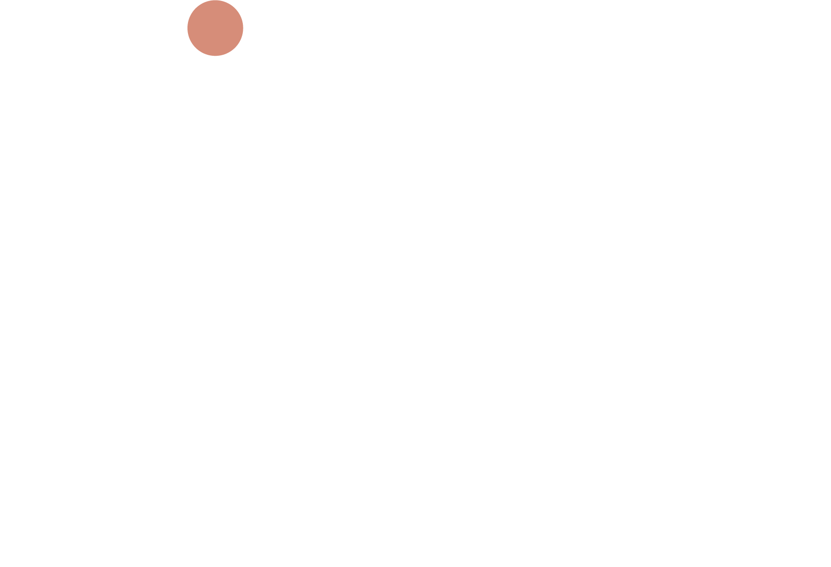 Logo Therapiepraktijk Rivka wit<br />
