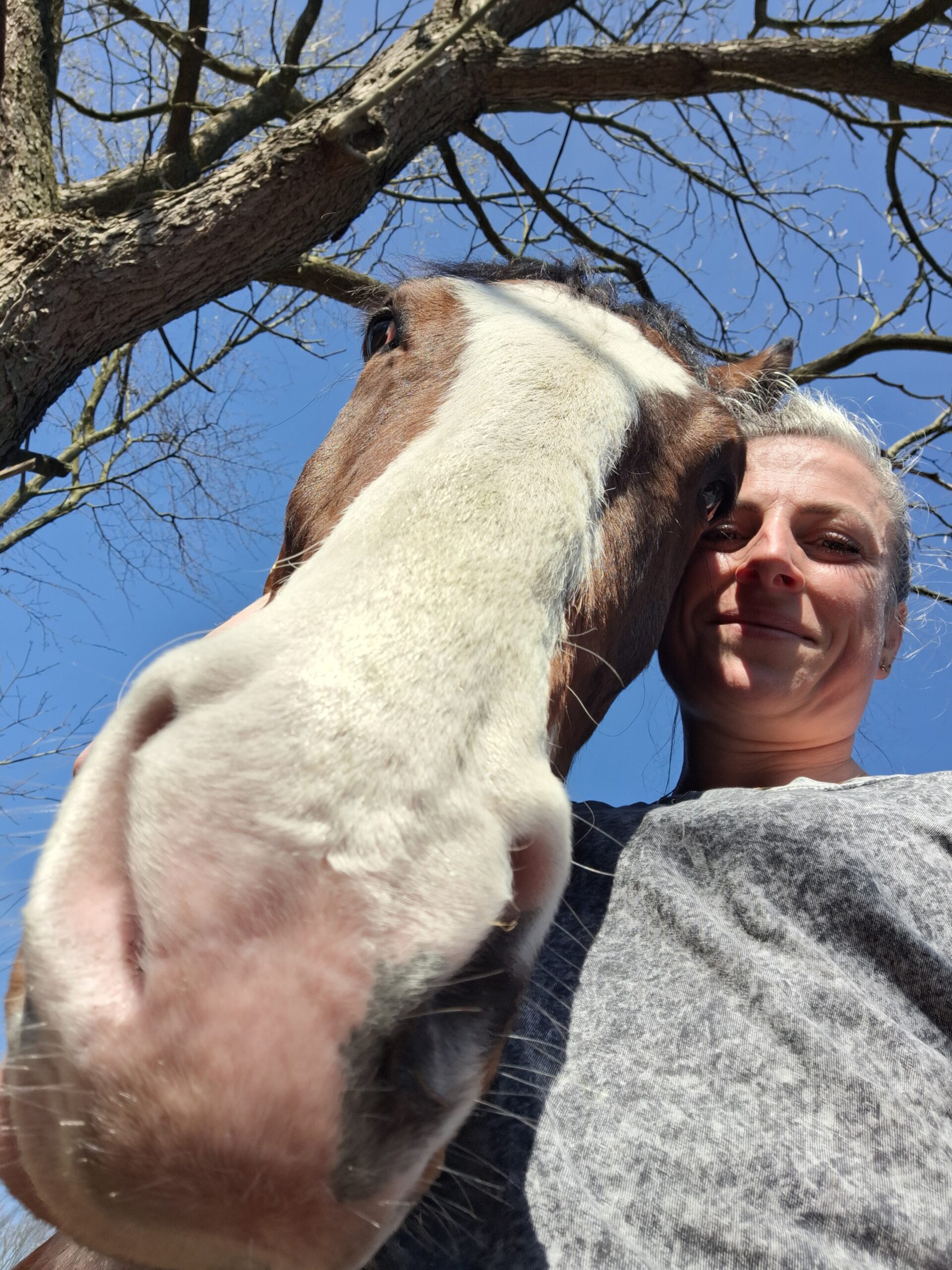 Therapiepraktijk Rivka therapie paarden